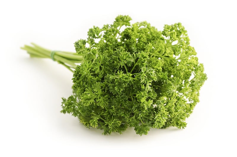 Herbaceous and Citrusy